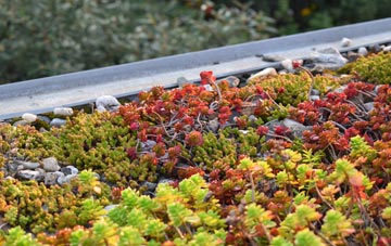 the cost of Kenchester green roof installation