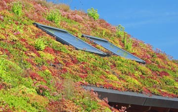 Kenchester living roof systems
